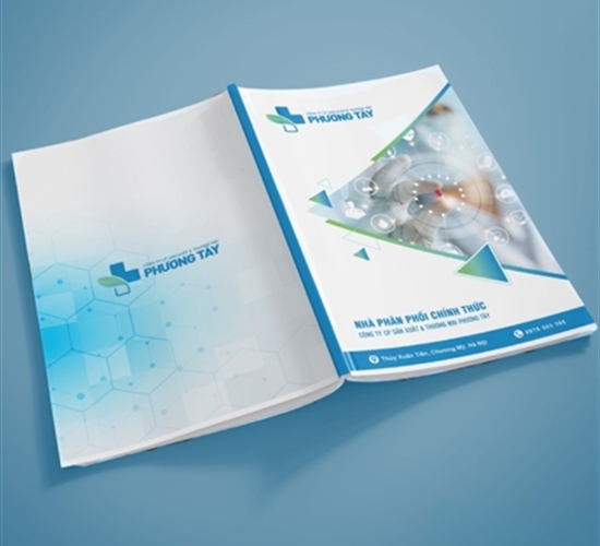 Thiết kế catalogue